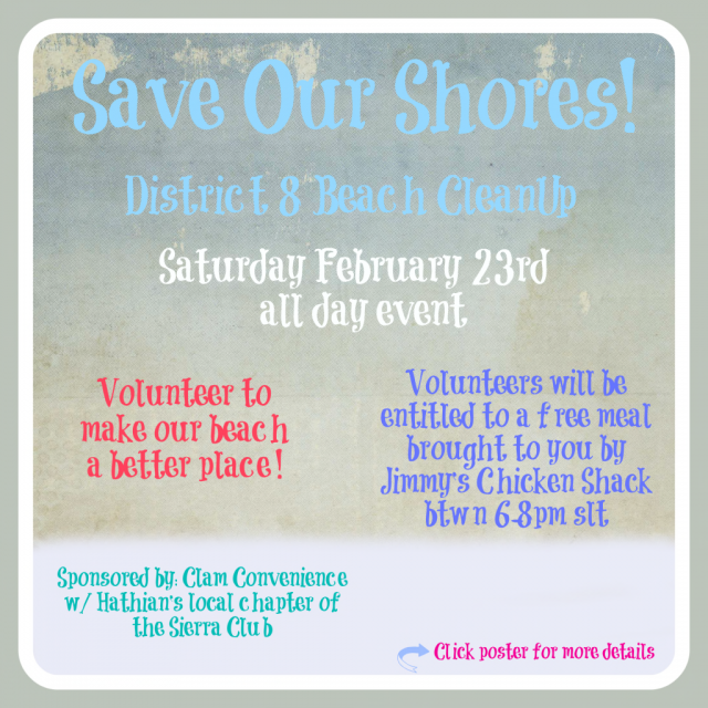 Save Our Shores 2013