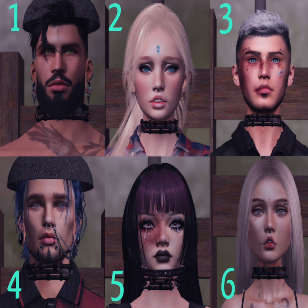 The contestants in the Hathian Hunger Games